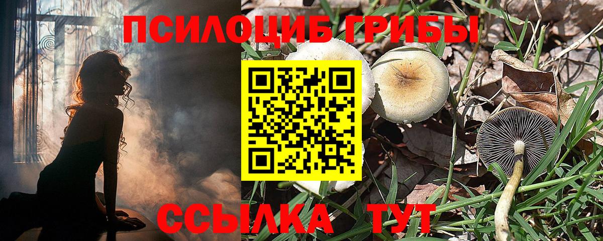 ТГК  Кокаин  ГАШИШ  Новочебоксарск  Магазин наркотиков  MDMA  Вход с VPN  Меф кристаллы  Марихуана 